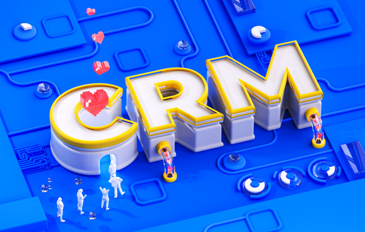 crm professional services
