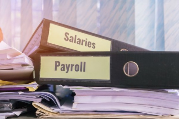 learn how to do payroll for free