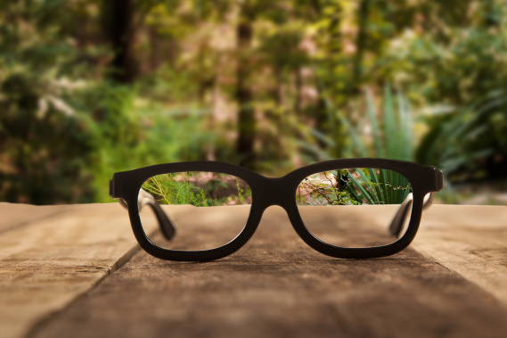 clarity through reading glasses