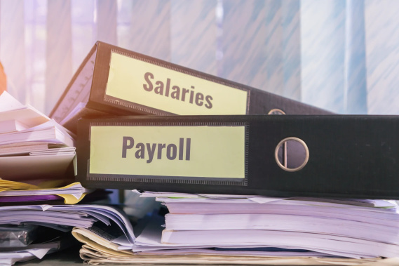 learn how to do payroll for free