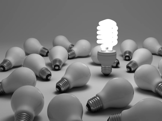 small business organization tools