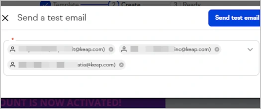 image showing multiple emails selected for sending a test email