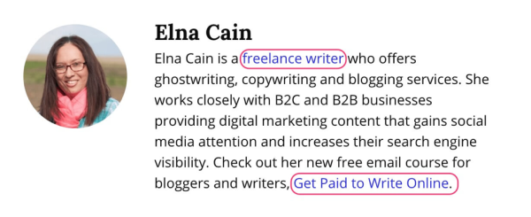 Freelancer bio example