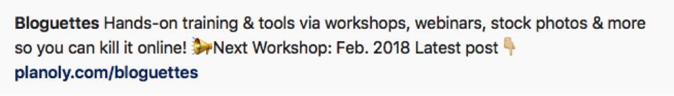 instagram marketing bloguettes bio