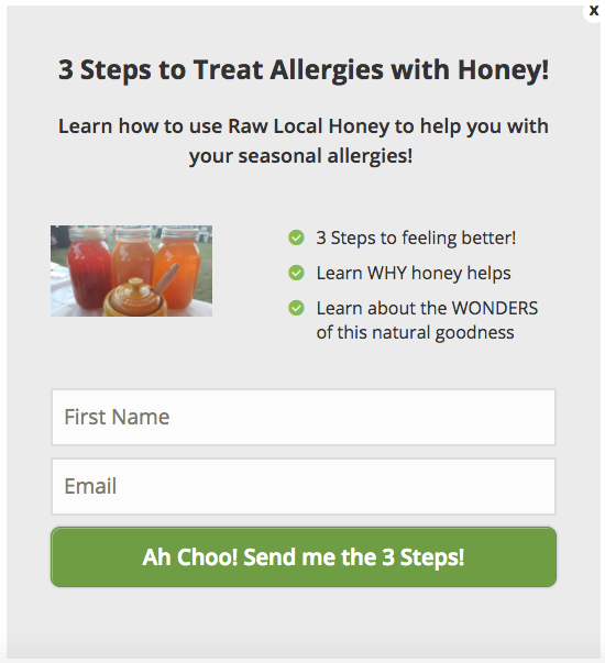 H&H Honey lead capture.png