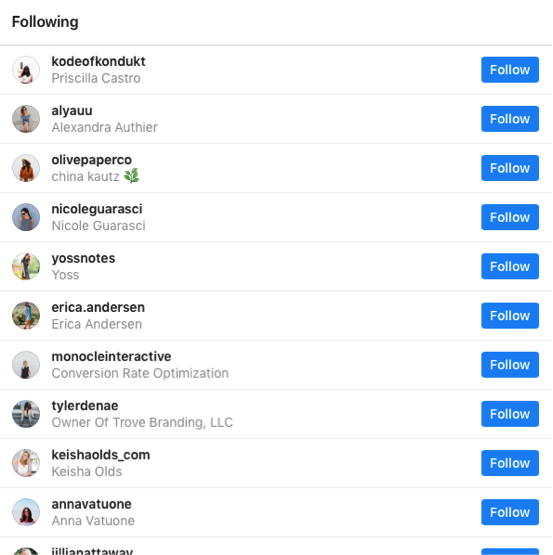 instagram following