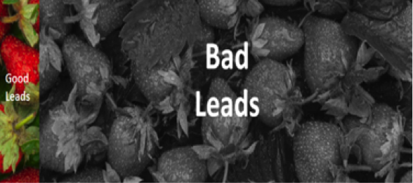 bad leads strawberries.png