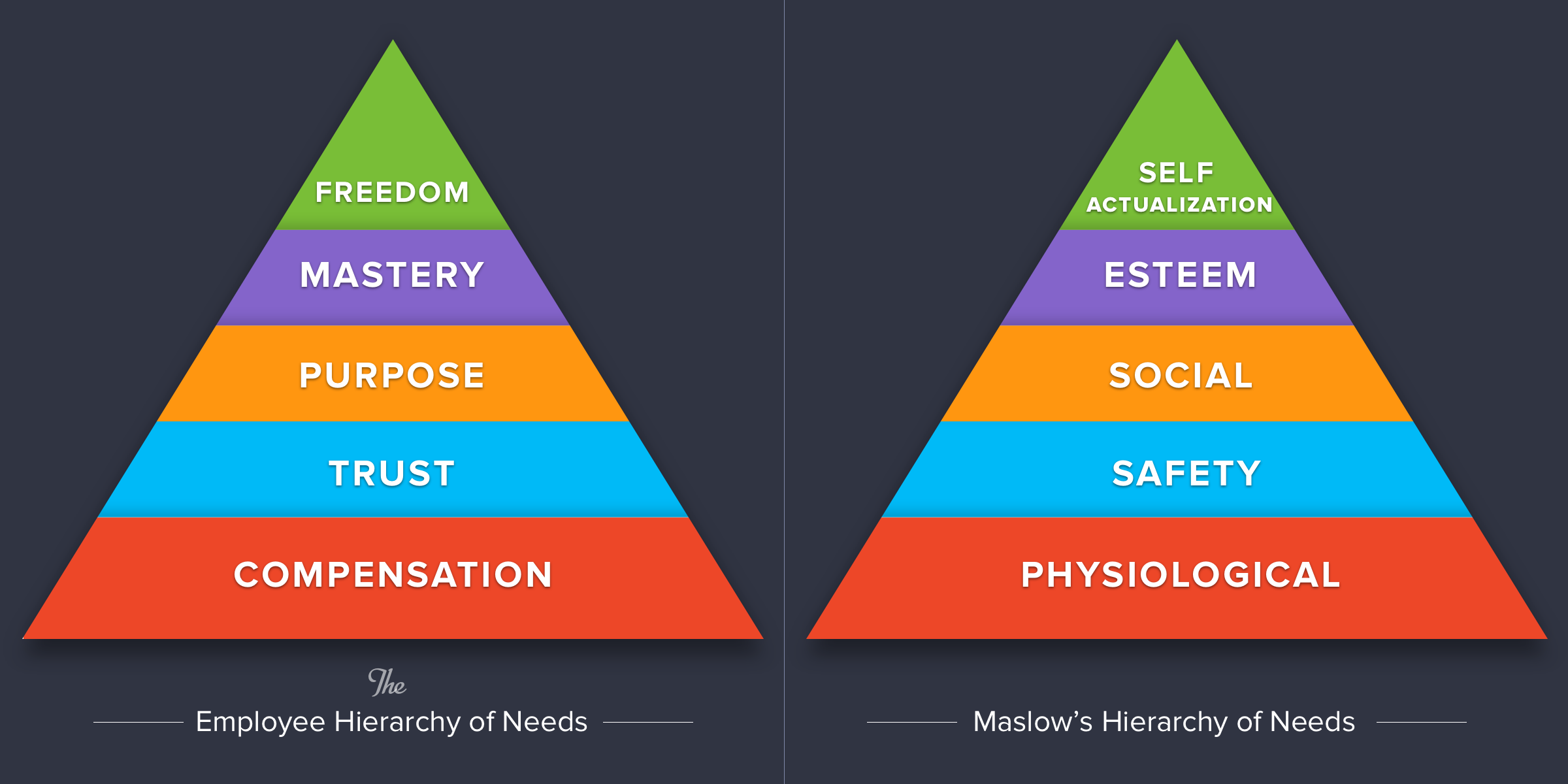 hierarchy of needs