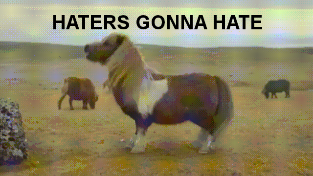 haters gonna hate.gif