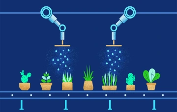 marketing automation for startups