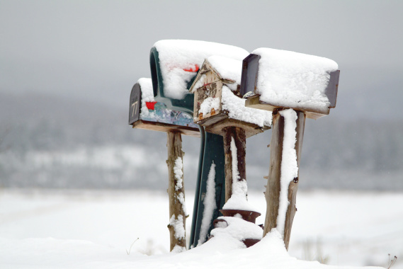 mailboxes in the snow