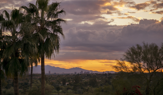 view of downtown phoenix at sunset