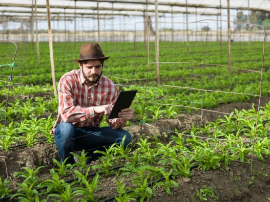 marketing automation, customer service