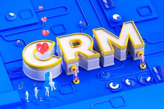 crm professional services